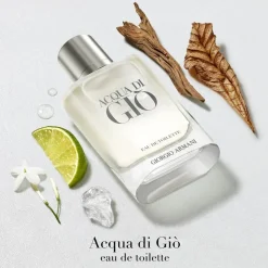 Acqua Di Giò Eau De Toilette, 100 ml