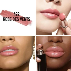 Addict Shine Lipstick, Rose Des Vents