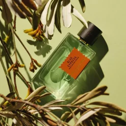 Blue Cypress Perfume, 100 ml