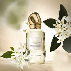 Cashmere Collection Tunisian Neroli Eau De Parfum, 100 ml