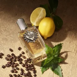Devotion Male Eau De Parfum, 100 ml