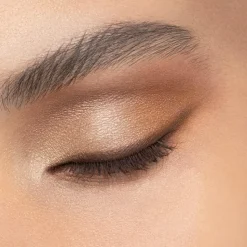 Diorshow 5 Couleurs Eye Palette, 559 Poncho