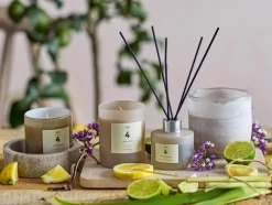 Duftpinde, Lemon Verbena