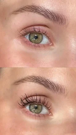 Grand Danois Mascara, Black