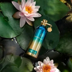 Herbal Aquatica Eau De Parfum, 100 ml