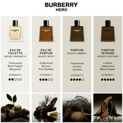 Hero Intense Parfum, 100 ml