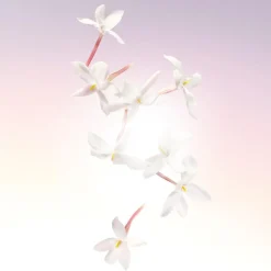 Idôle Eau De Parfum, 25 ml