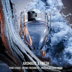 Invictus Eau De Toilette, 100 ml