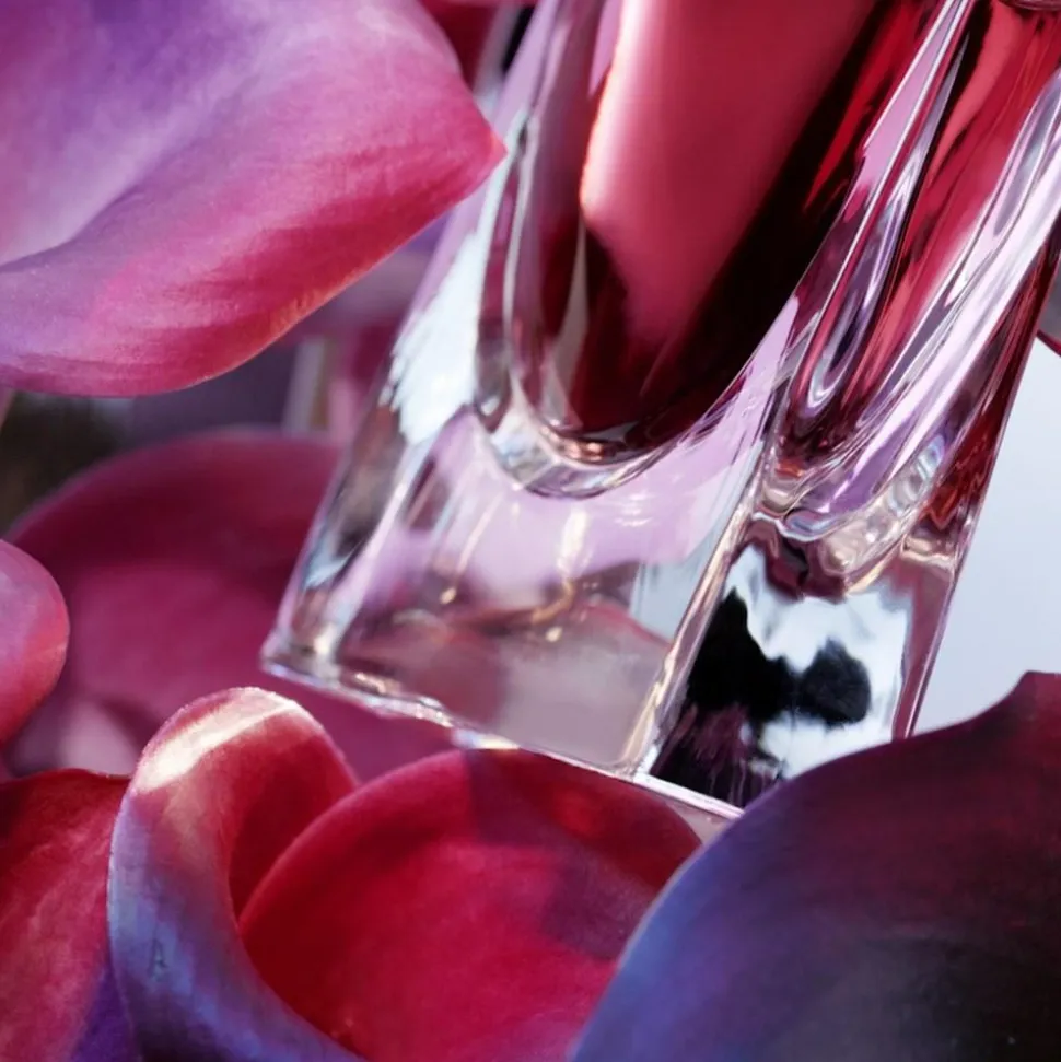 La Vie Est Belle L'ELIXIR Eau De Parfum, 50 ml