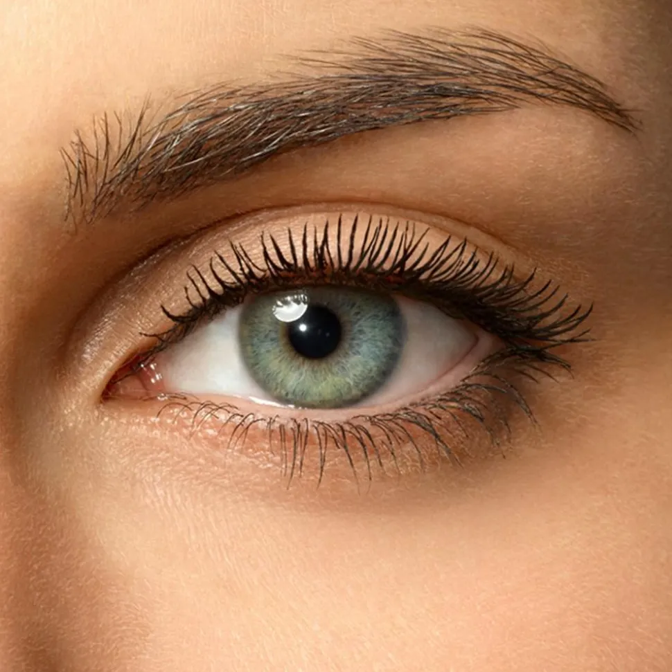 Lash Queen Sexy Blacks Waterproof Mascara