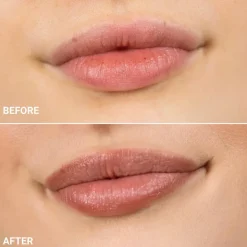 Lip Liner, Toffee