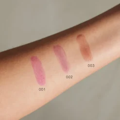 Lip Stain, Wild Berry