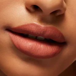 Locked Kiss Ink Lipcolour, Meticulous