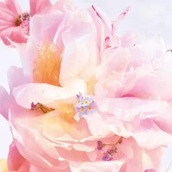 Miss Dior Blooming Bouquet Eau De Toilette, 30 ml