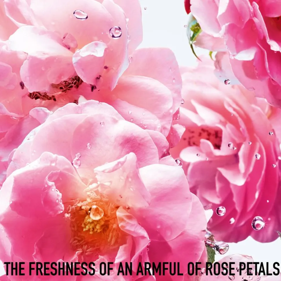 Miss Rose N'Roses, 100 ml
