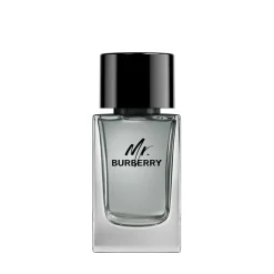 Mr. Eau De Toilette, 100 ml