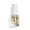Nutri Oil
