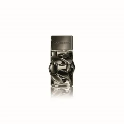 Pour Homme Absolu Eau De Parfum, 100 ml