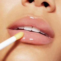 Reve De Miel Honey Lip Care