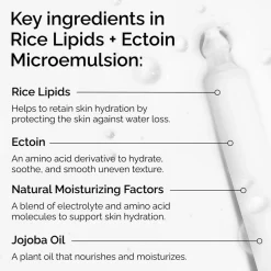 Rice Lipids + Ectoin Microemulsion, 60 ml