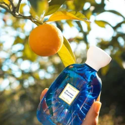 Riviera Sunrise Eau De Parfum, 100 ml