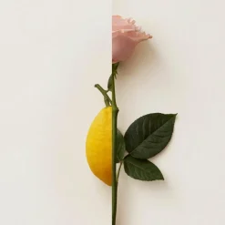 Rosa Limone Extrait De Parfum, 50 ml