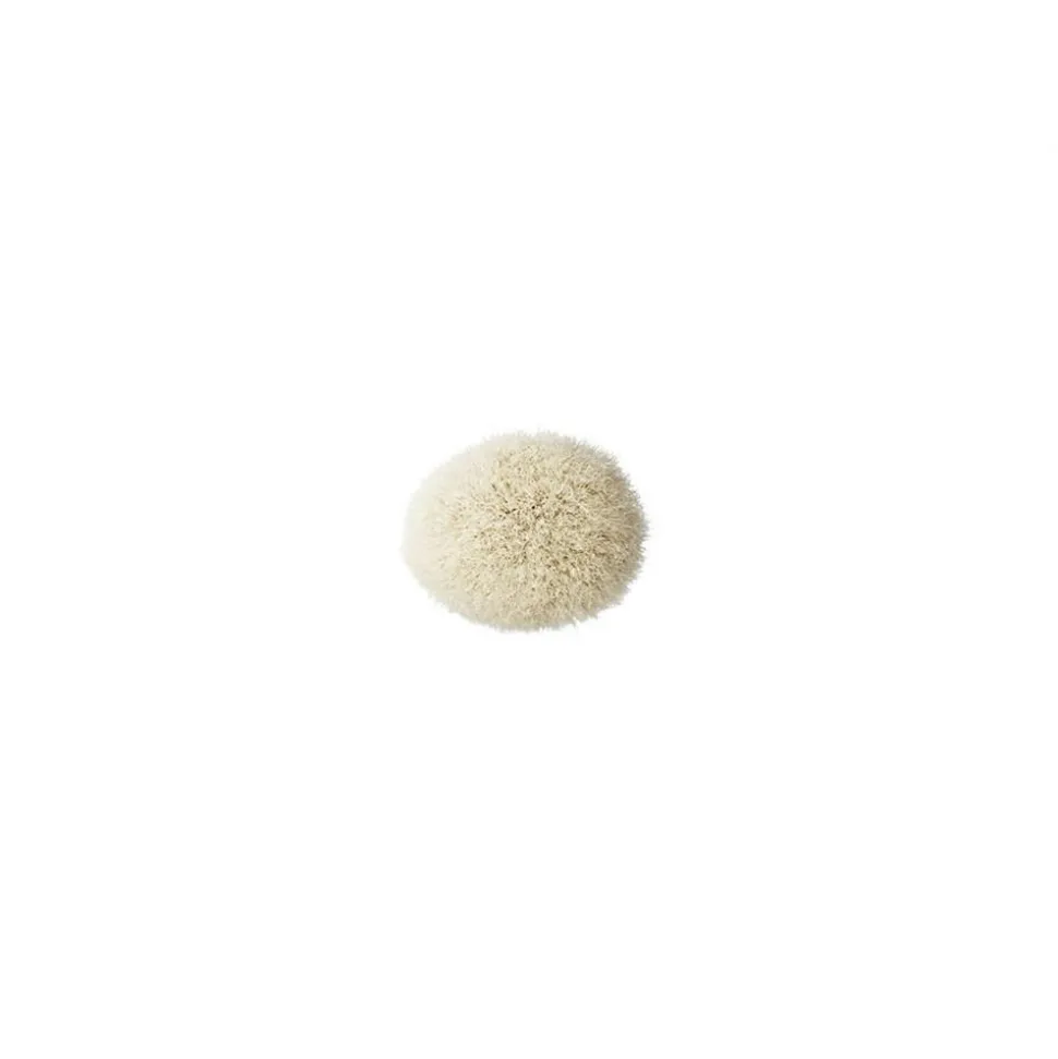 168S Large Angled Contour Brush