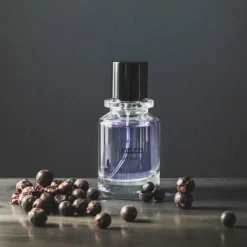 Saint Remy Eau De Parfum, 50 ml
