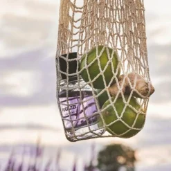 Saint Remy Eau De Parfum, 50 ml