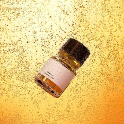 Santal Eau De Parfum, 100 ml