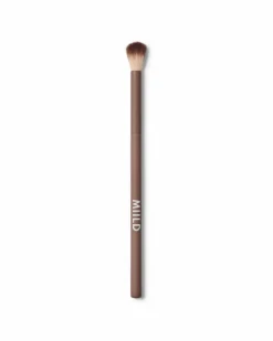 Soft Focus Blender Brush