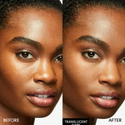 Studio Fix Pro Set + Blur Weightless Loose Powder, Translucent