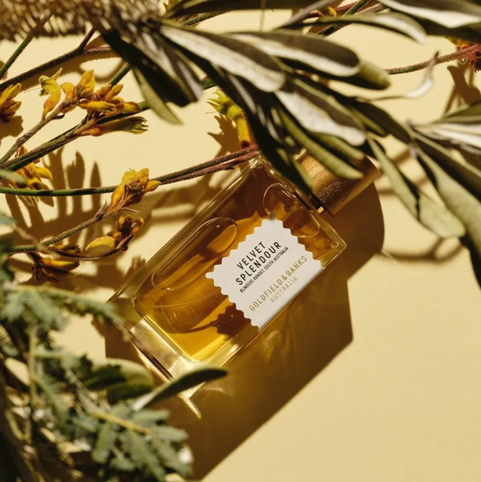 Velvet Splendor Perfume, 100 ml