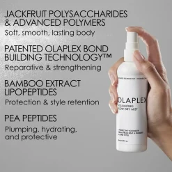 Volumizing Blow Dry Mist, 150 ml
