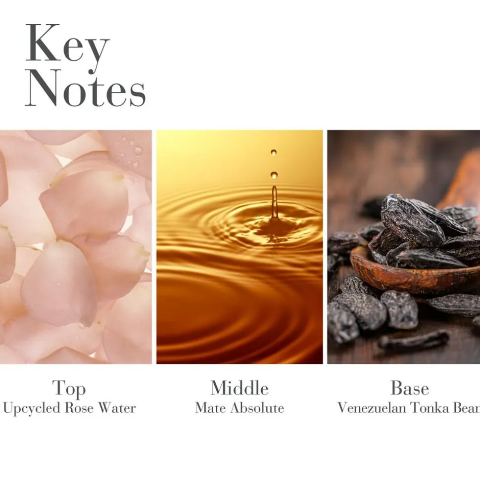 White Tea Eau De Parfum, 30 ml
