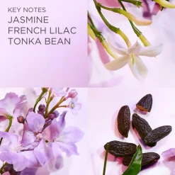 White Tea Lilac Eau De Toilette, 100 ml