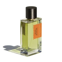 Wood Infusion Perfume, 100 ml