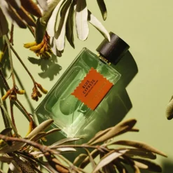 Wood Infusion Perfume, 100 ml