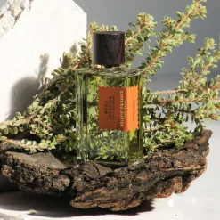 Wood Infusion Perfume, 100 ml